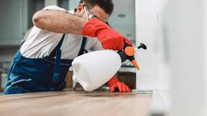 Real Estate Pest Inspections in Longview, WA